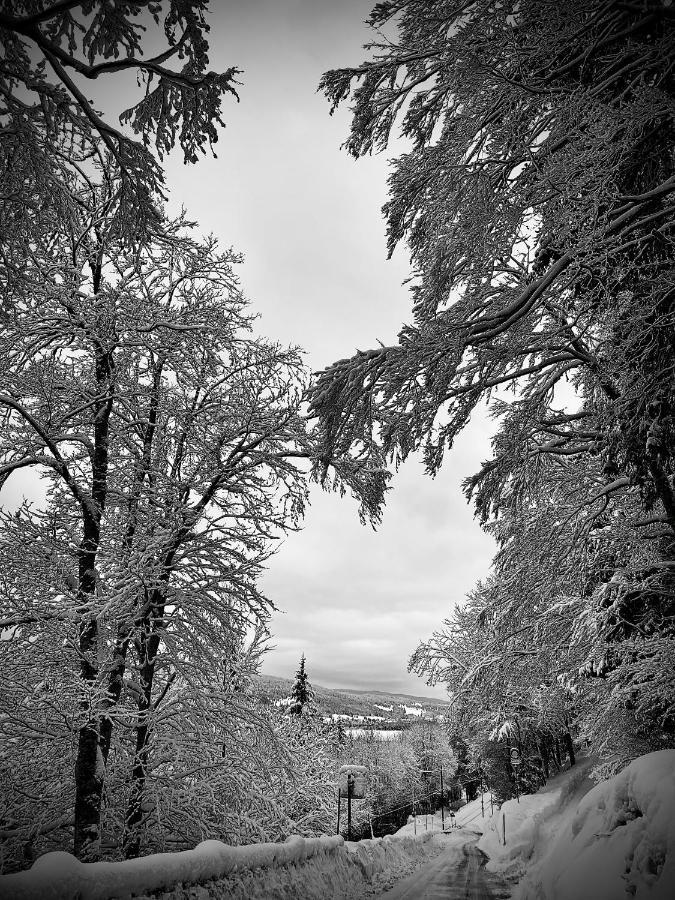 Hotel De Ville Du Sentier Le Sentier Kültér fotó